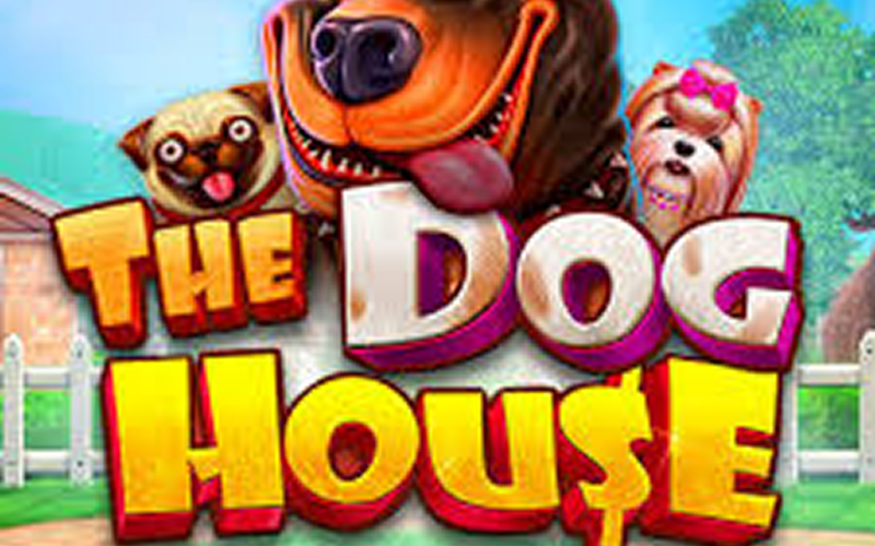 The Dog House